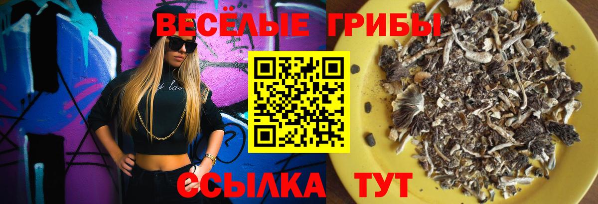Комсомольск-на-Амуре  Псилоцибиновые грибы прущие грибы  Вход с VPN  Галлюциногенные грибы мицелий 