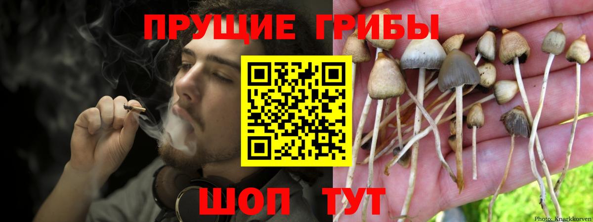 Псилоцибиновые грибы мухоморы Комсомольск-на-Амуре